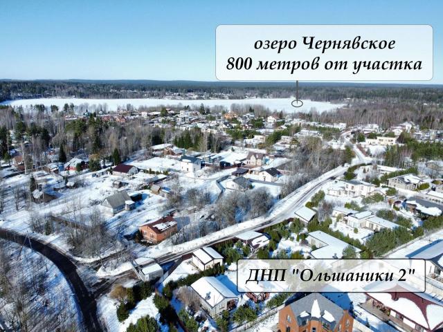 Ленинградская область, Ольшаники пос.