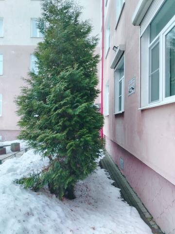 Ленинградская область, Виллозское городское поселение, деревня Малое Карлино, 18к1