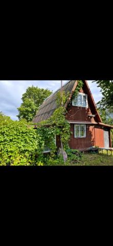 Ленинградская область, Великое Село дер., 13