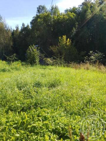 Новоселье дер., д 7