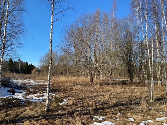 Ленинградская область, Шадырицы дер.