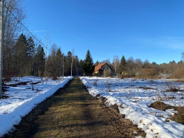 Ленинградская область, Шадырицы дер., 10