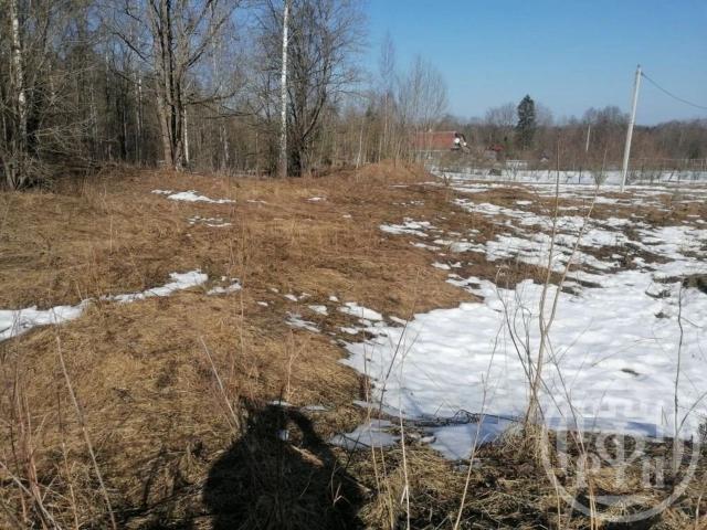 Витово дер.