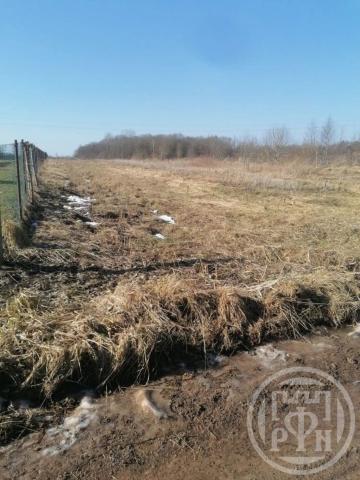 Шильцево дер.