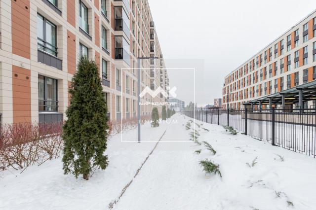 Петровский проспект, 24