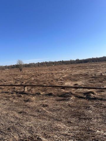 Ленинградская область, Лопухинка-2 АОЗТ