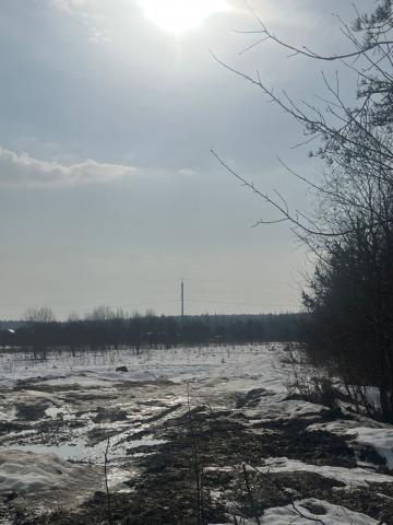 Ленинградская область, Пениковское сельское поселение, Дружный КП, 23