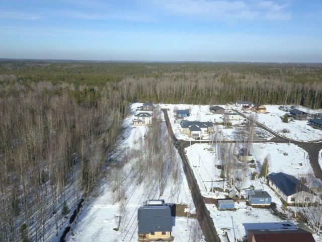 Ленинградская область, Колтуши