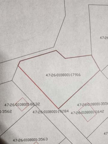 Флора территория снт, 13-ая линия