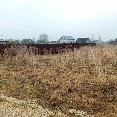 п. Кингисеппский