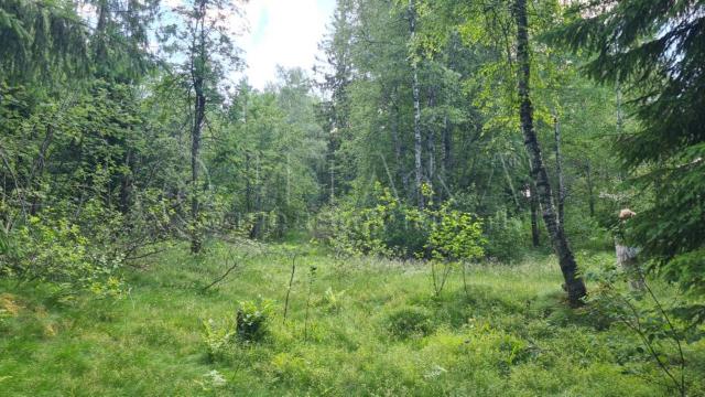 п. Кировское