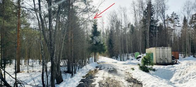 Кротово дер