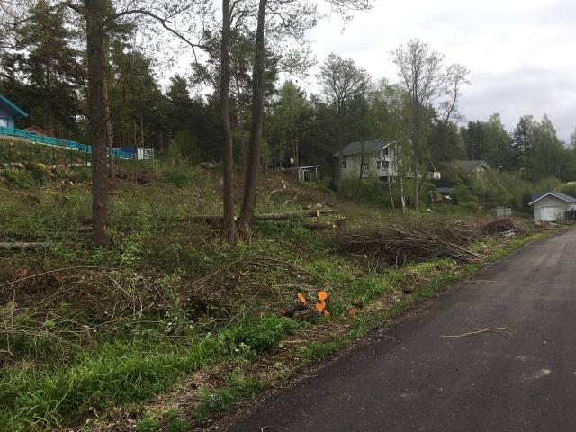 Ленинградская область, Пески пос., 2
