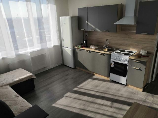 Ленинградская область, Новосаратовка дер., Романтиков пер., 1