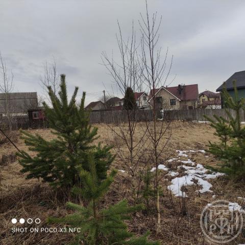 Углово массив, Юбилей снт