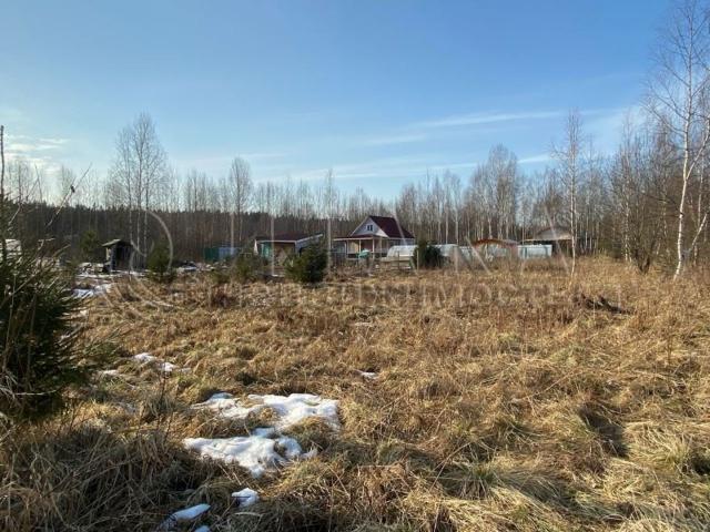 гп. Советский