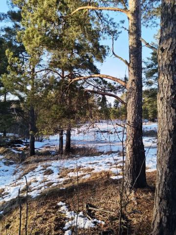 Ленинградская область, Ленинское пос.