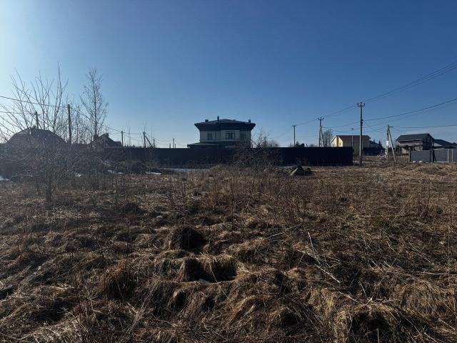 Ленинградская область, Волковицы дер.