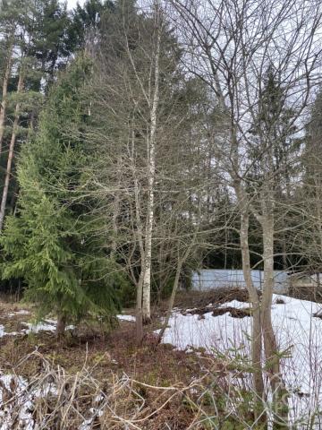 Токсово пос., Кольцевая ул.