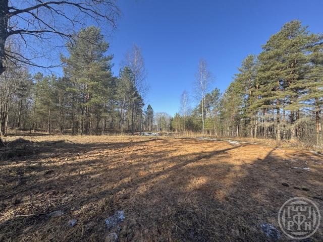 Смерди дер.