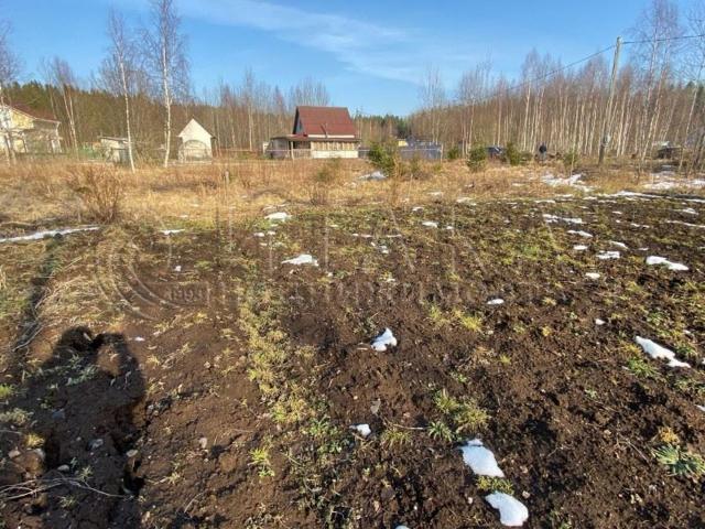 снт. Березовая Долина