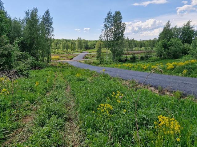 Ленинградская область, Никитилово дер.