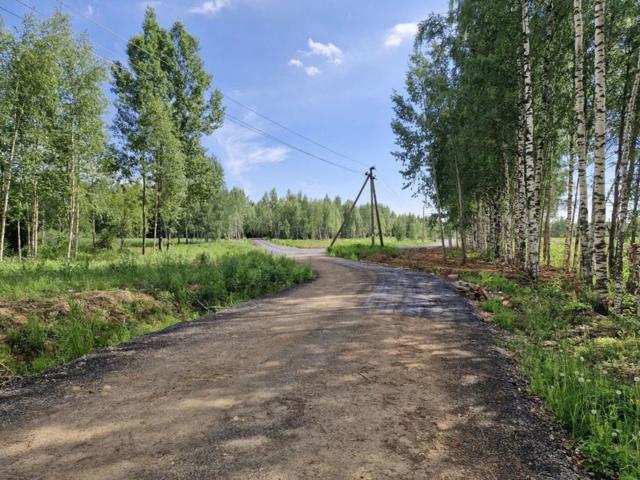 Ленинградская область, Никитилово дер.