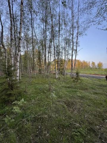 Ленинградская область, Белкино КП