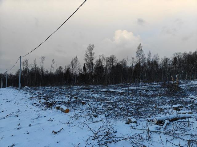 Ленинградская область, Извоз дер.