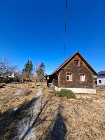 Ленинградская область, Природа садовые участки, 4-я линия, 195