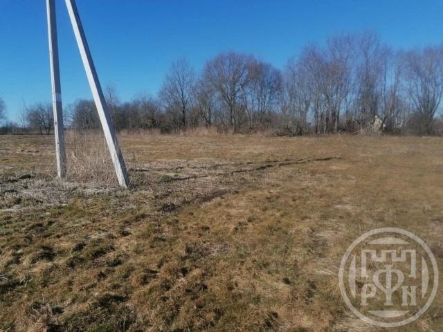 Подгородье дер.