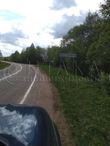 д. Мустиничи