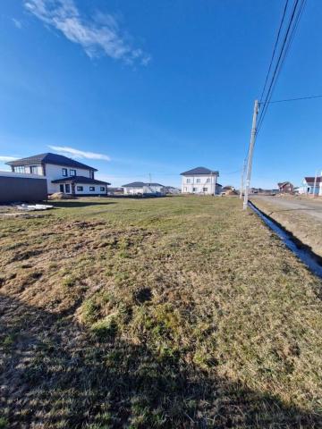 Ленинградская область, Любимово КП