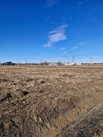 Ленинградская область, Любимово КП