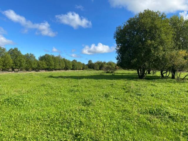 Ленинградская область, Лепсари СНТ, Вишневая ул., 108