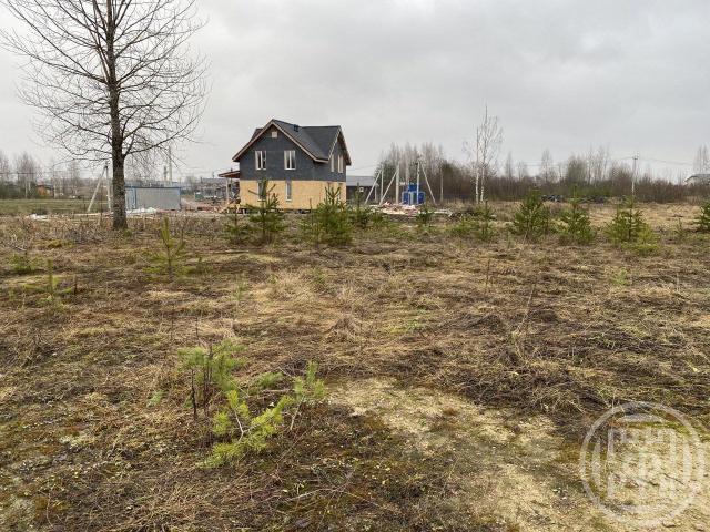 Низино дер.