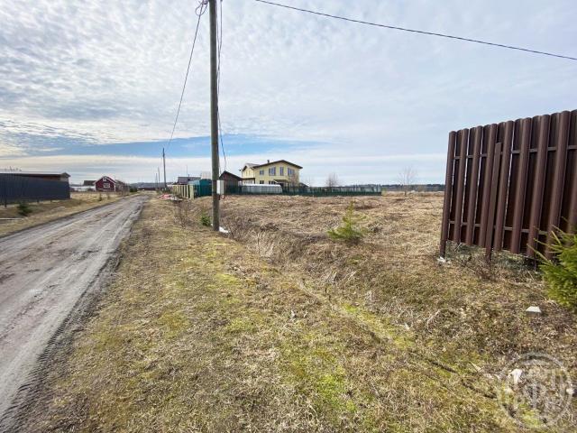 Светлое днп, Заостровье дер, Светлое днп, Заостровье дер