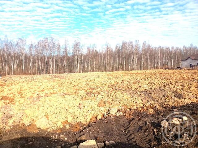 Парголово пос., Вокзальное шос.