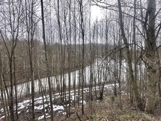 гп. Токсово