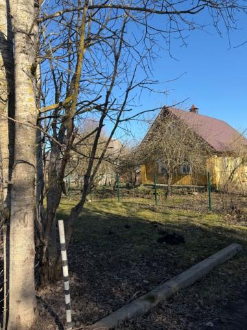 Ленинградская область, Курск пос., 50