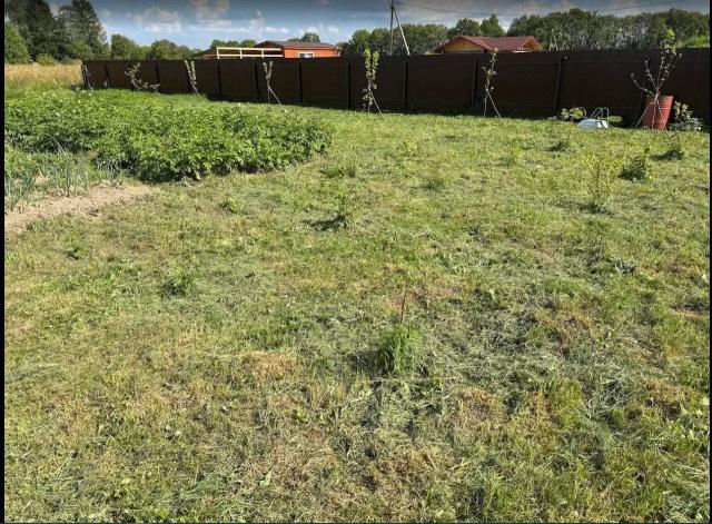 Ленинградская область, Рождествено пос.