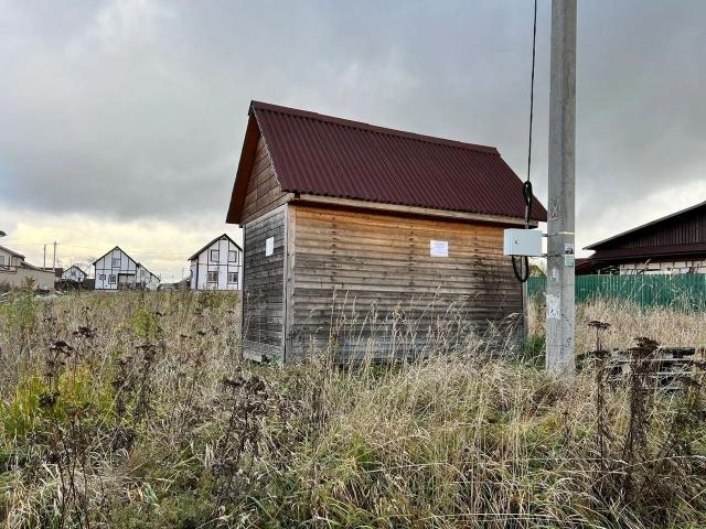 Ленинградская область, Флора СНТ