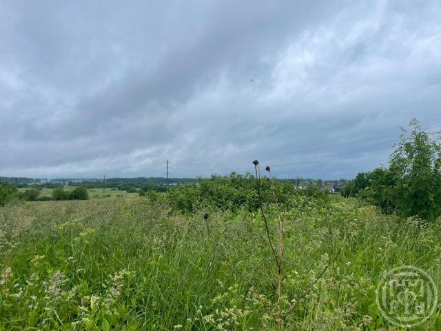 Низино дер.