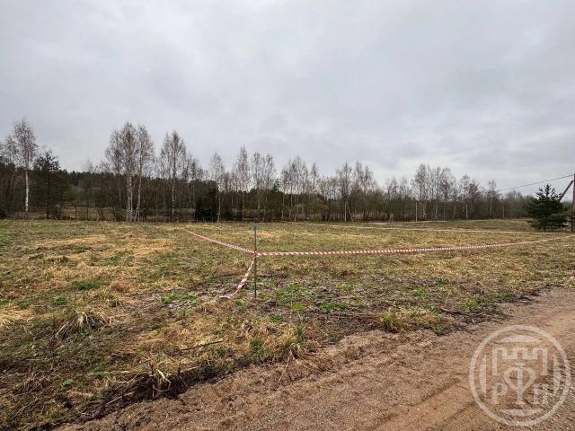 Домкино дер.