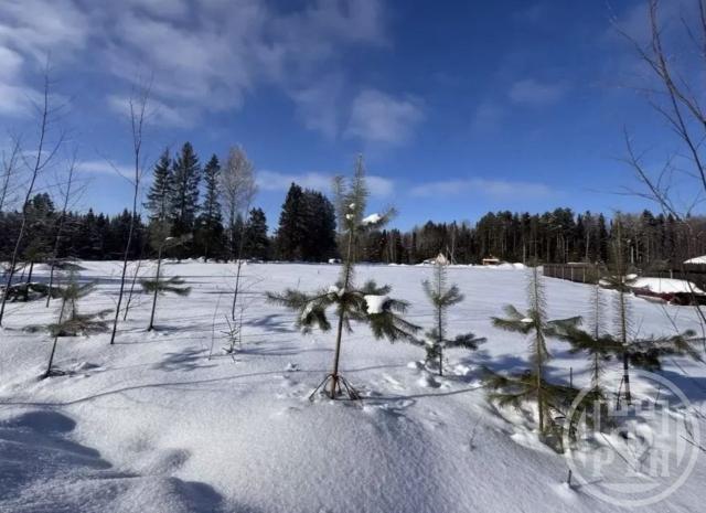Восход массив, Спектр снт, Восход массив, Спектр снт