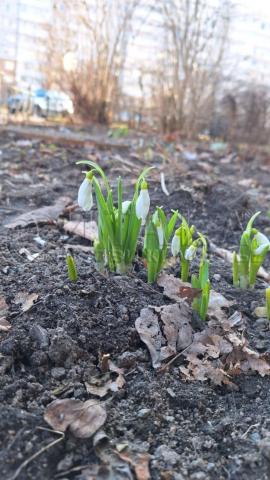 5-й Предпортовый, 8к1