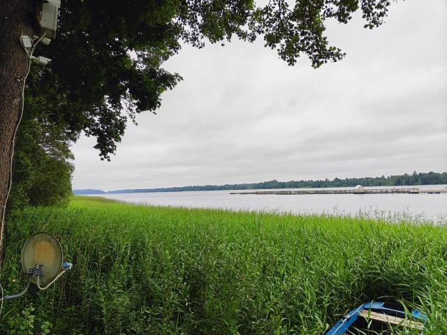 Ленинградская область, Извоз дер.