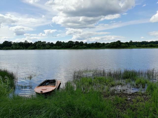 Ленинградская область, Извоз дер.