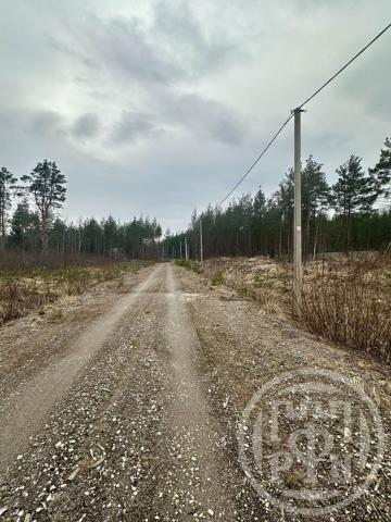 Коваши дер., д 6П