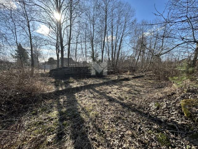 Грибное массив, Днепровская ул